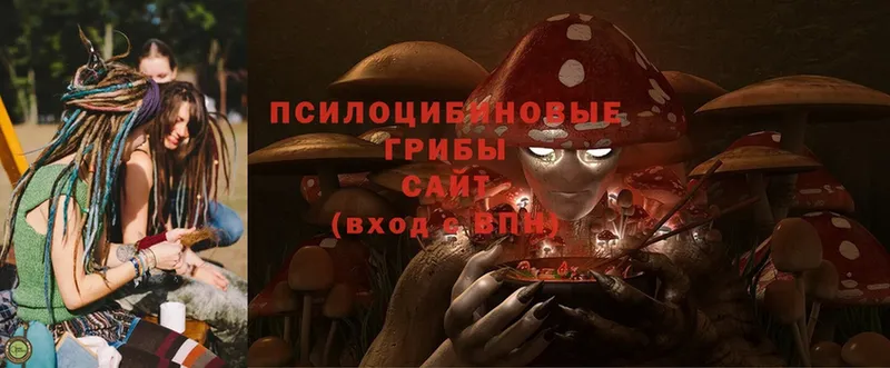 Галлюциногенные грибы Cubensis  Богданович 